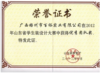 山東省學生裝設計大賽優秀團隊獎