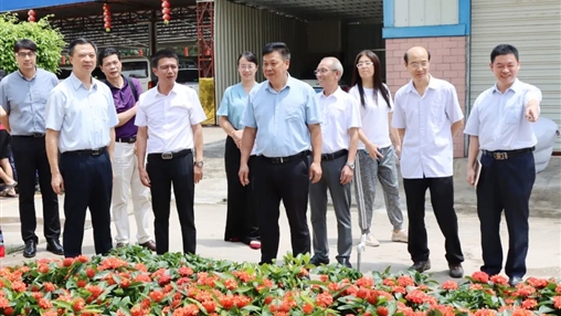 自治區(qū)政協(xié)常委、梧州市政協(xié)主席黃振饒蒞臨百裕集團走訪調研